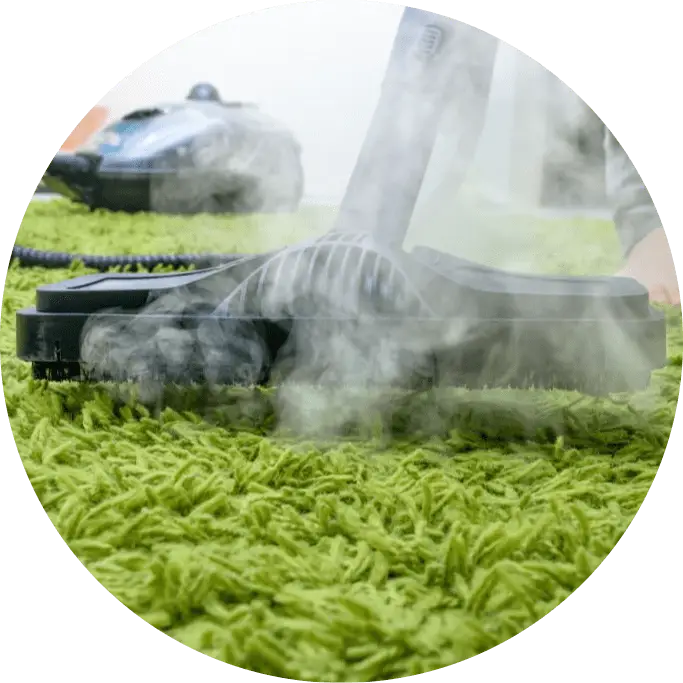 Carpet Steam Cleaning